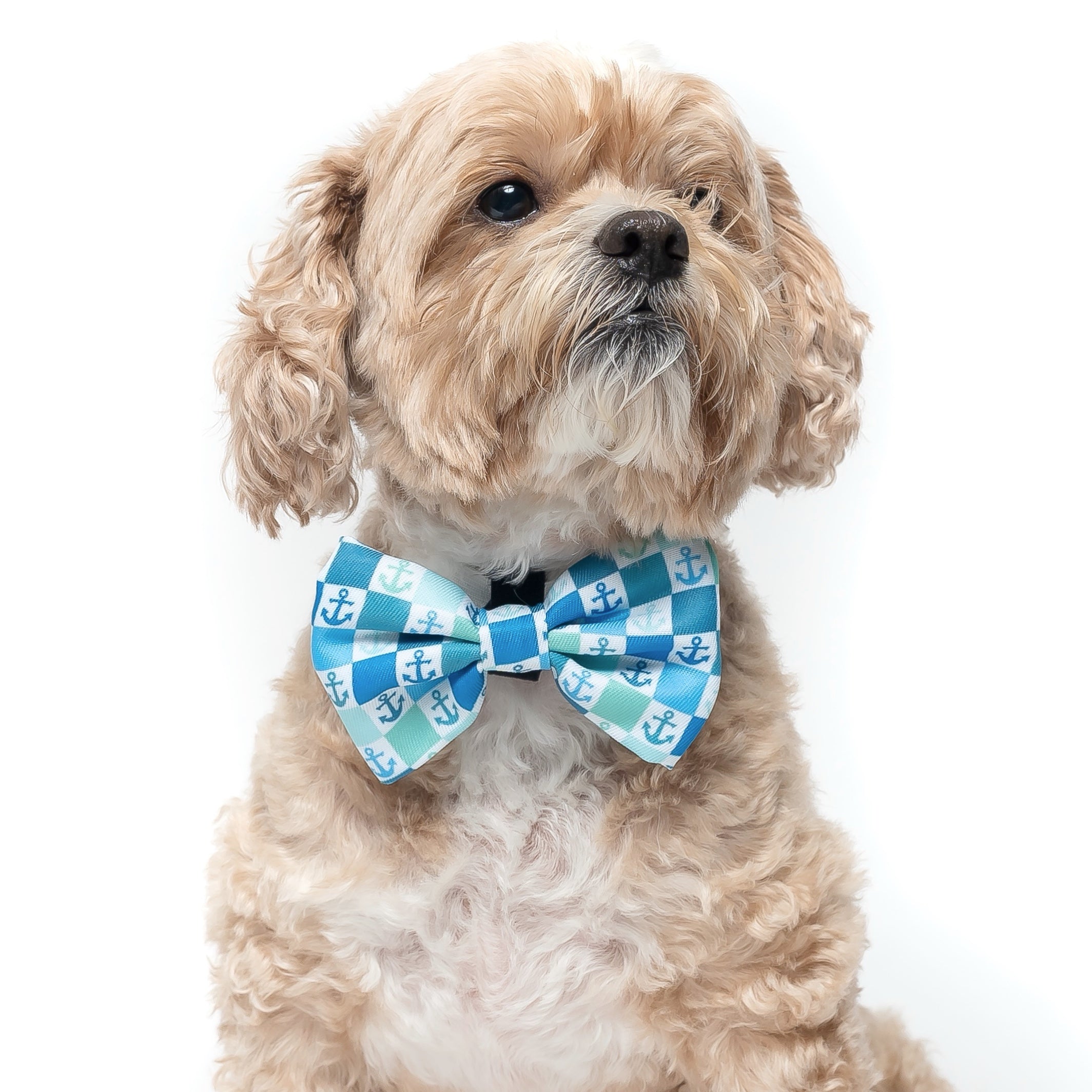 Bow Tie for Dog Collar Attaches With Hook-and-loop Fastener 