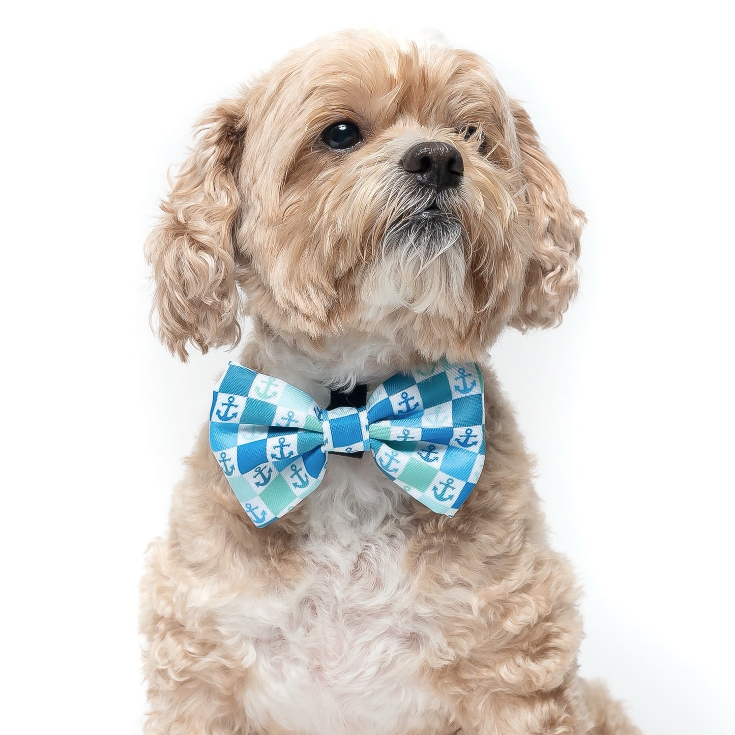 ANCHORS - BOW TIE