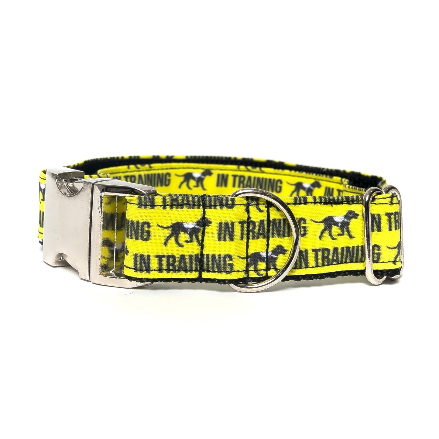 YELLOW IN TRAINING - DOG COLLAR
