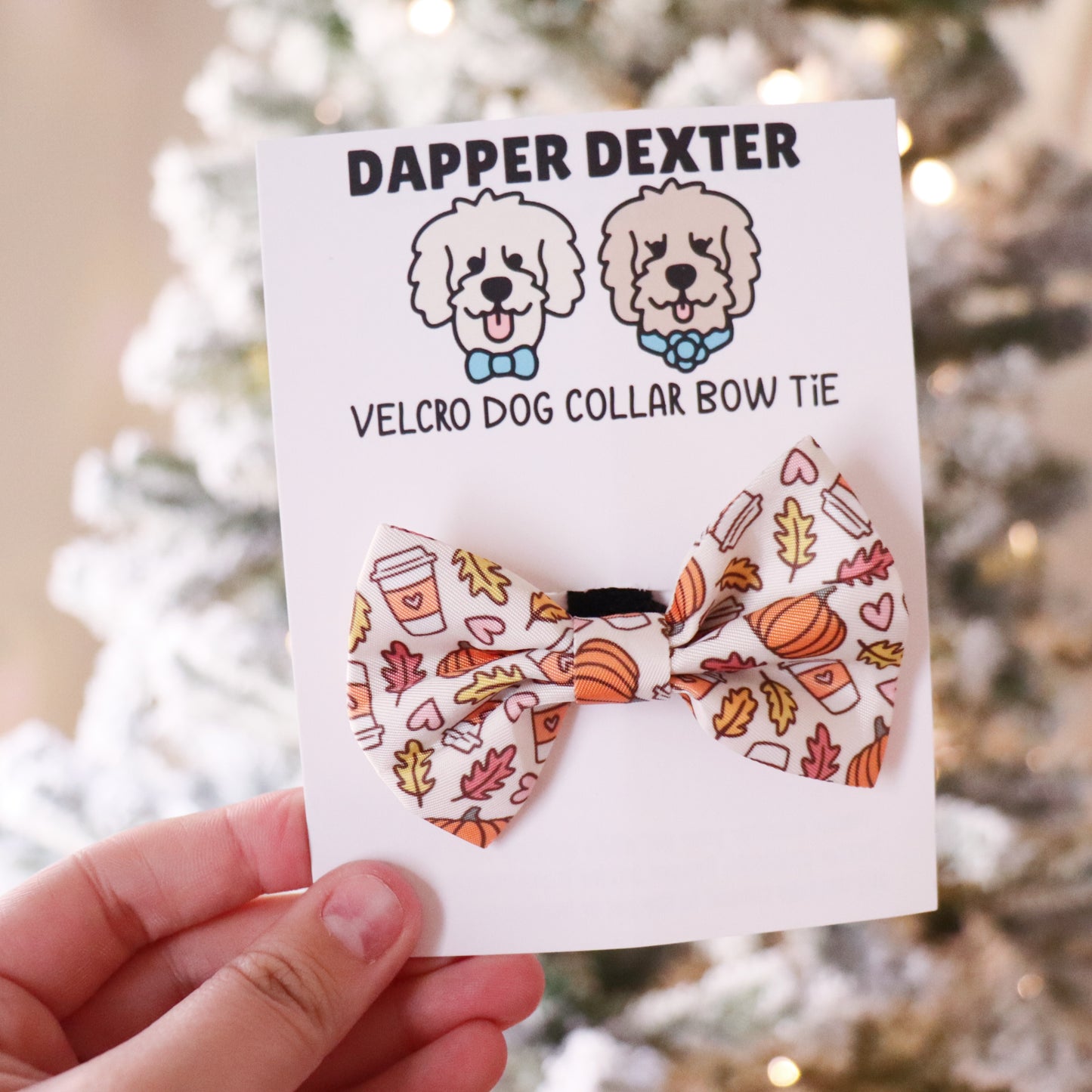 FALL VIBES - (MINI)  BOW TIE