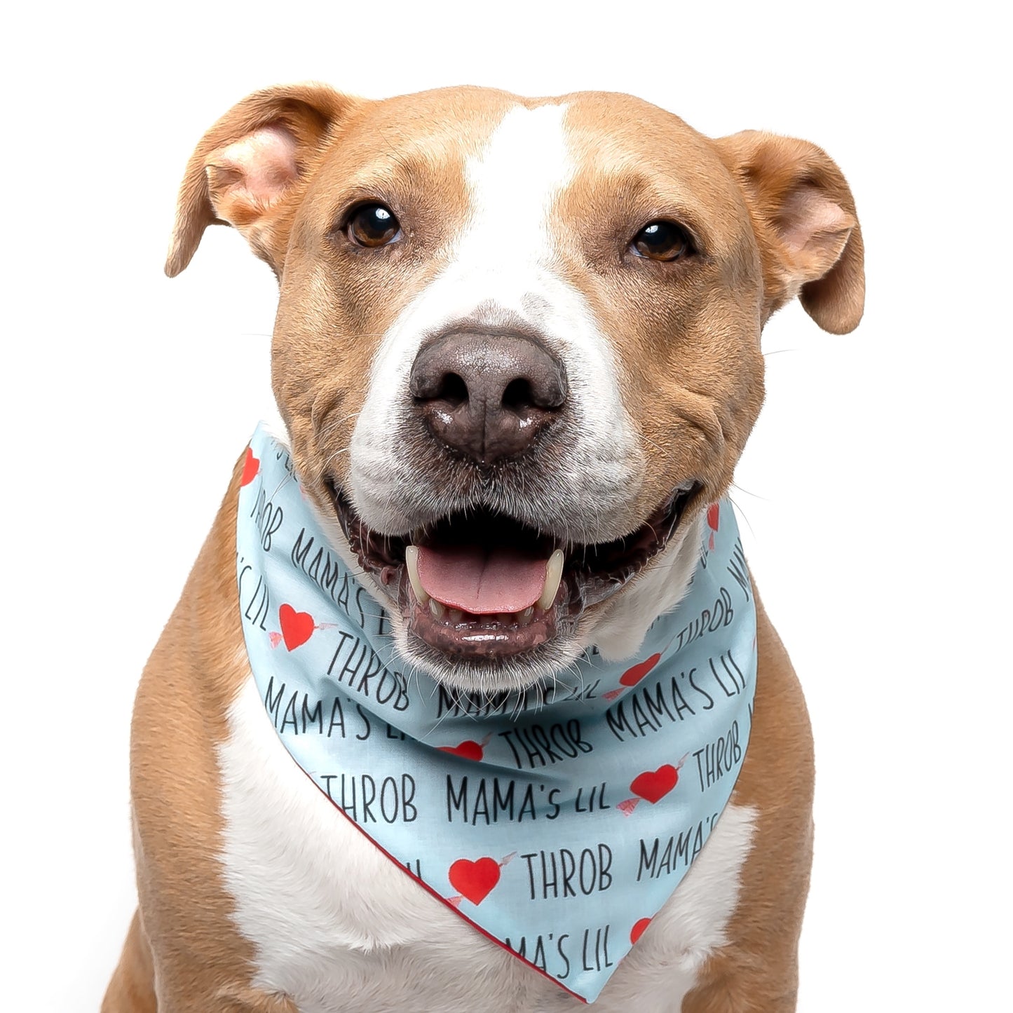 MAMAS HEART THROB - CLASSIC DOG BANDANA