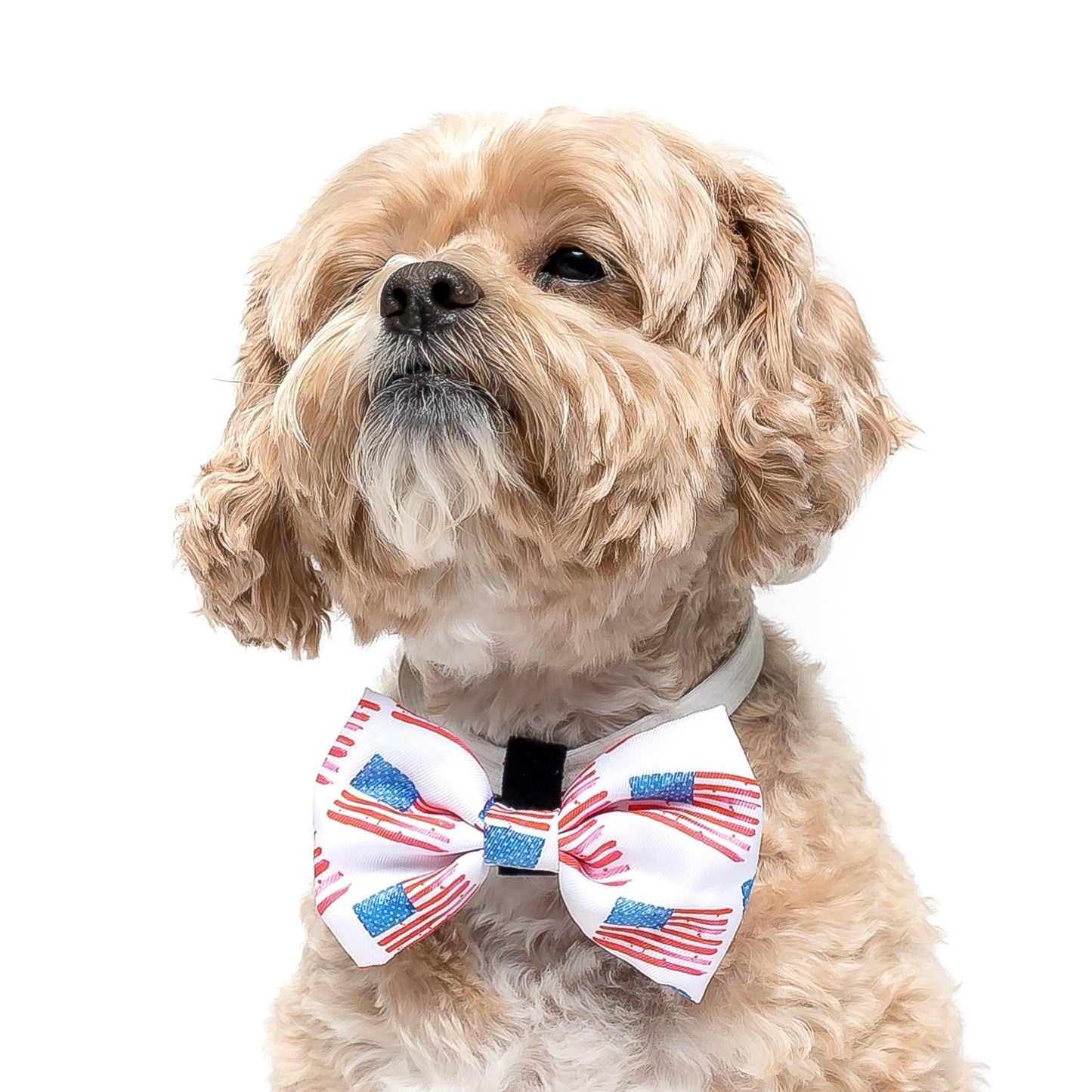 AMERICAN FLAG -  BOW TIE