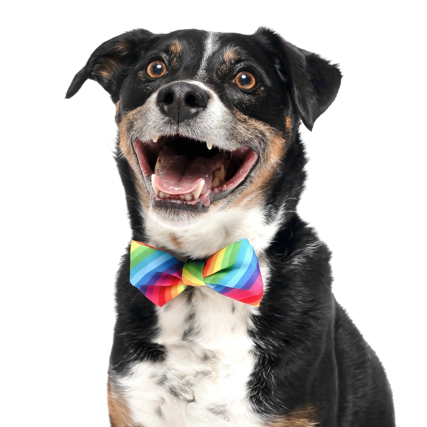 RAINBOW STRIPES - BOW TIE