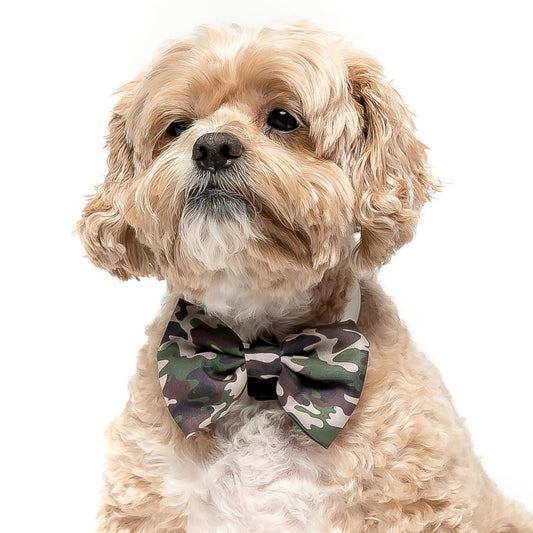 CAMO -  BOW TIE