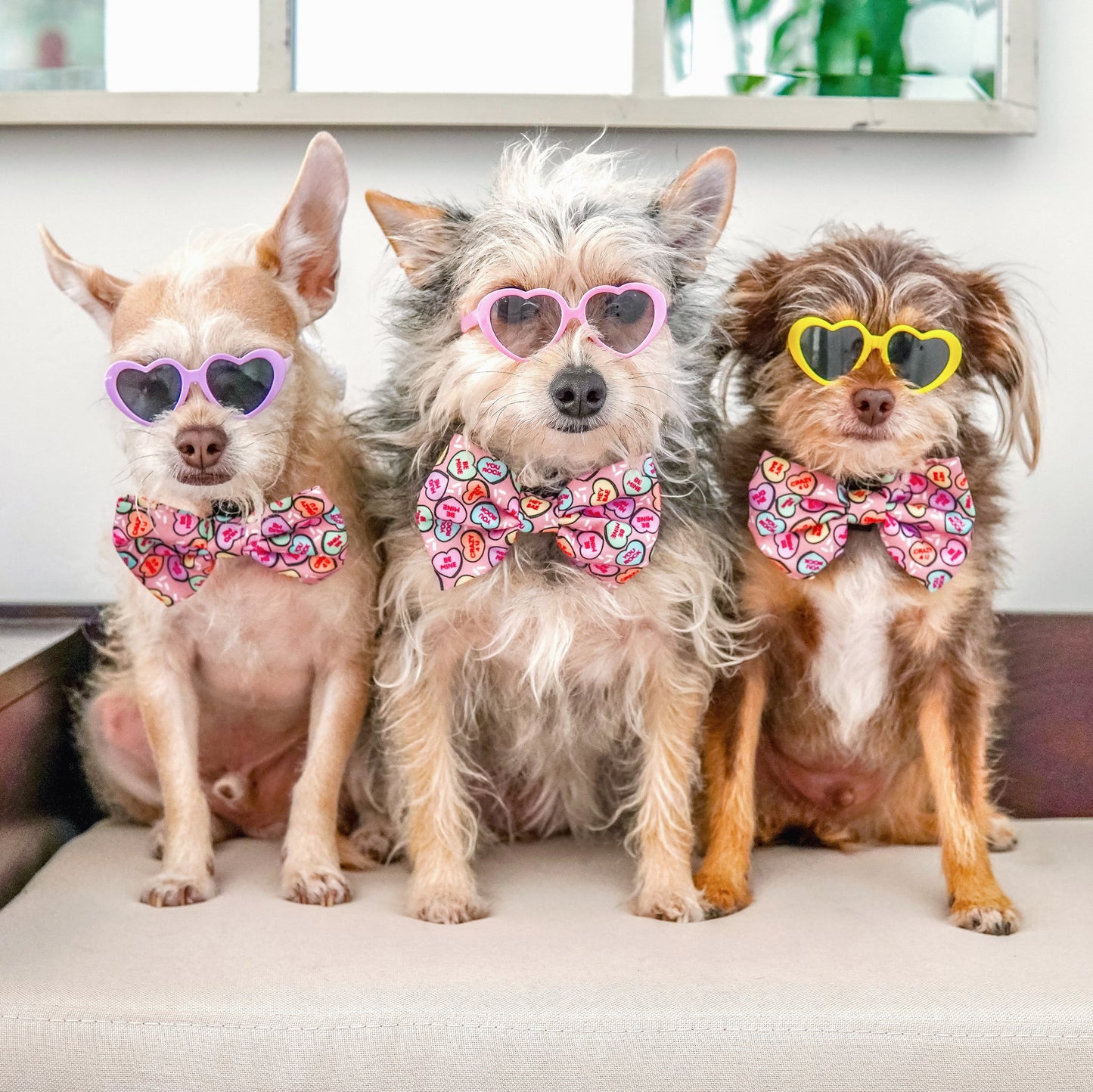 CANDY HEARTS - BOW TIE