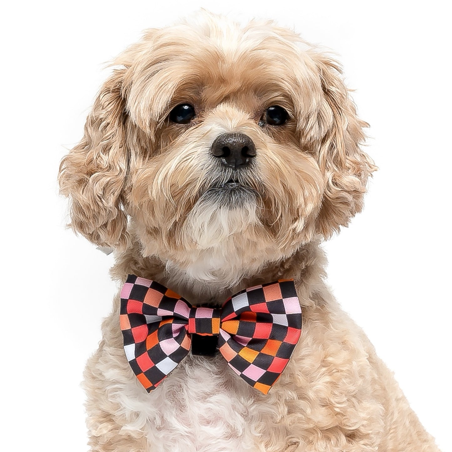 BLACK CHECKERED - BOW TIE