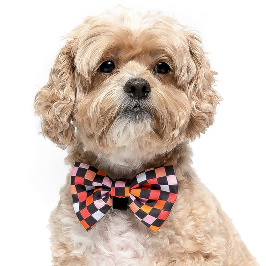 BLACK CHECKERED -  BOW TIE