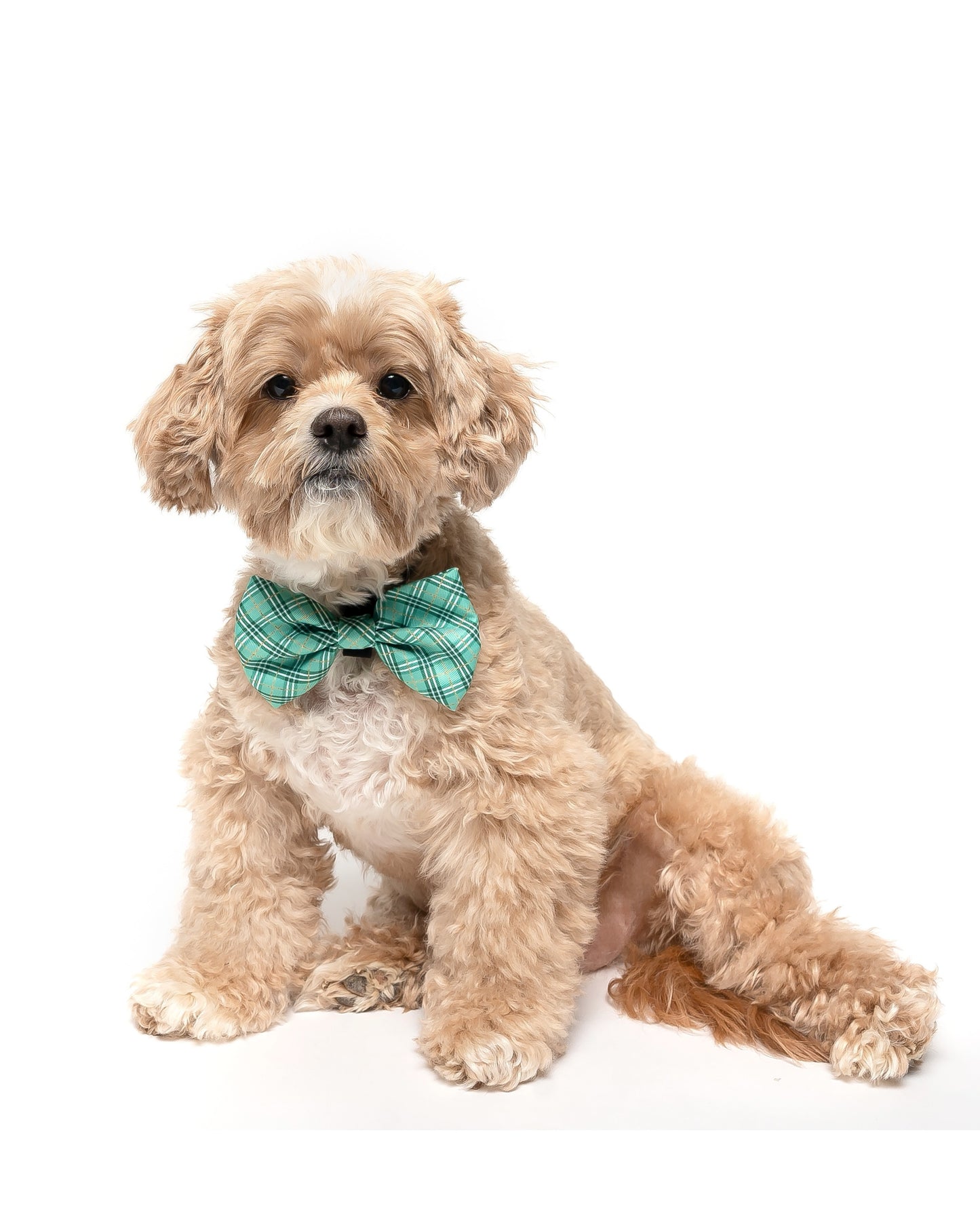 GREEN PLAID - BOW TIE