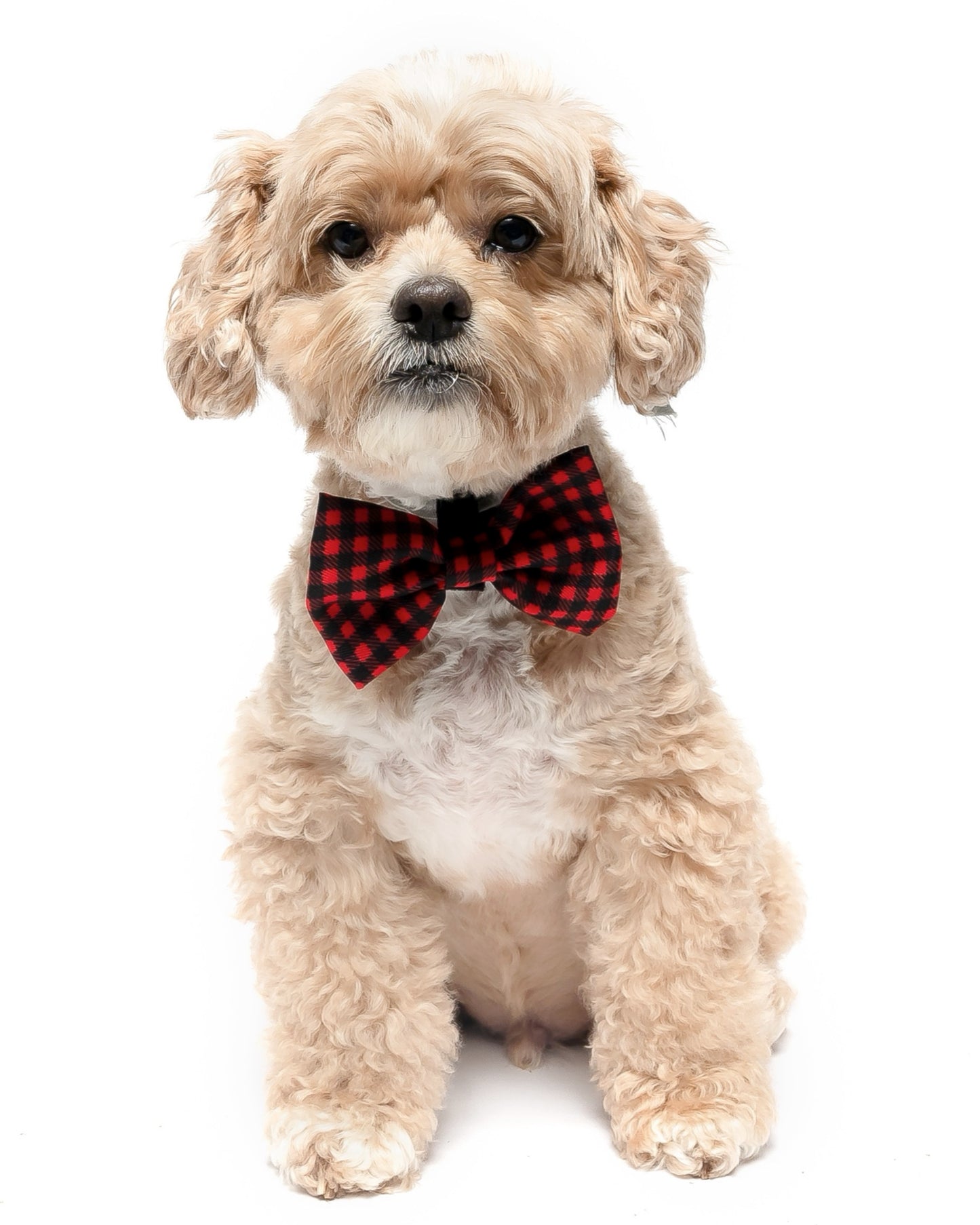 BUFFALO PLAID - BOW TIE