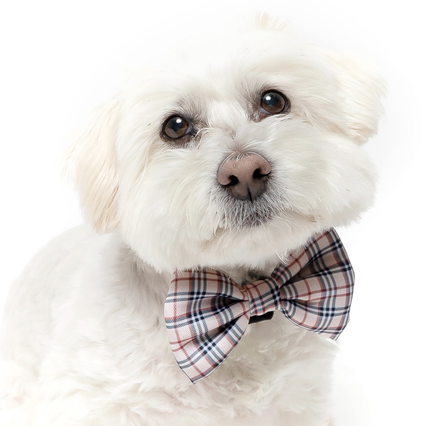 TAN PLAID - BOW TIE