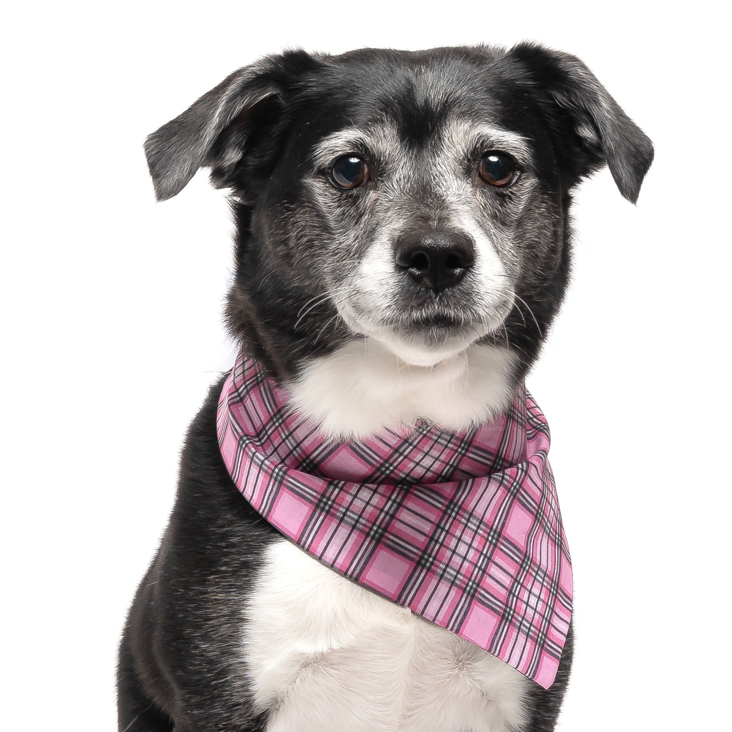 PINK PLAID - CLASSIC DOG BANDANA