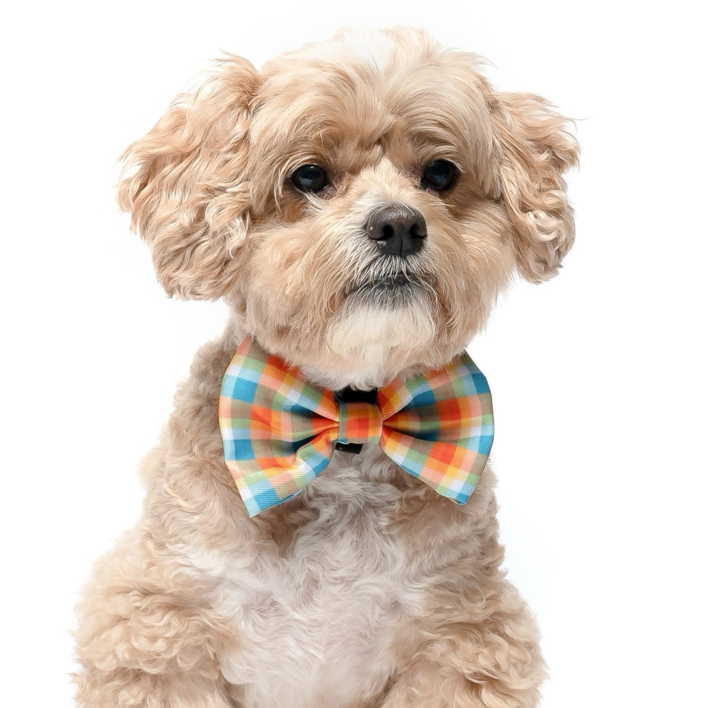 ORANGE AND TEAL PLAID - BOW TIE