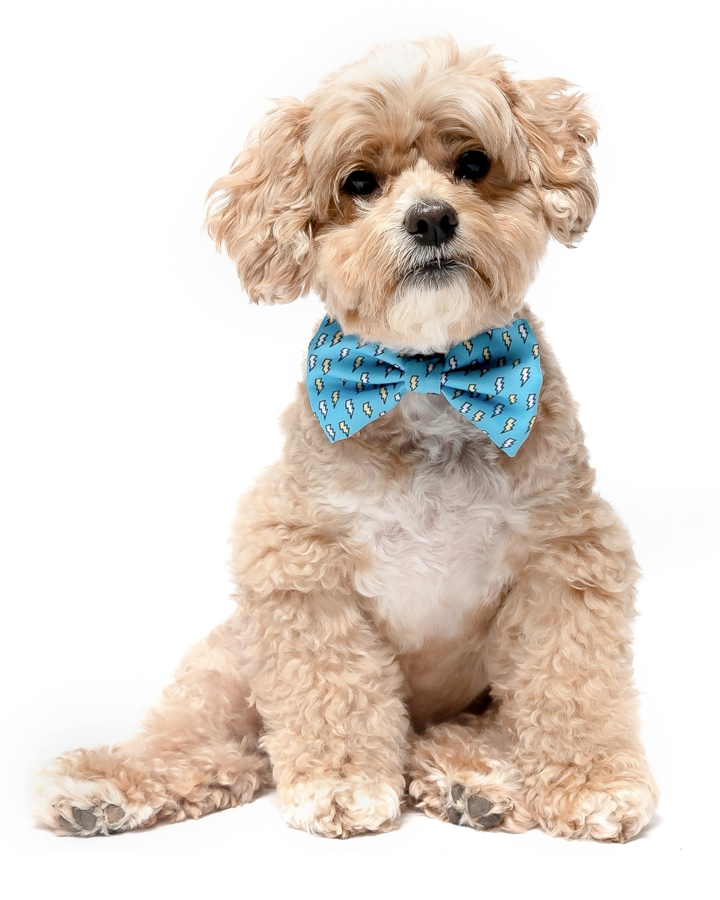 LIGHTENING BOLTS - BOW TIE