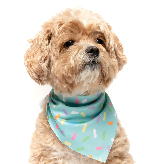 TEAL SPRINKLES - TRIANGLE DOG BANDANA BY DAPPER DEXTER