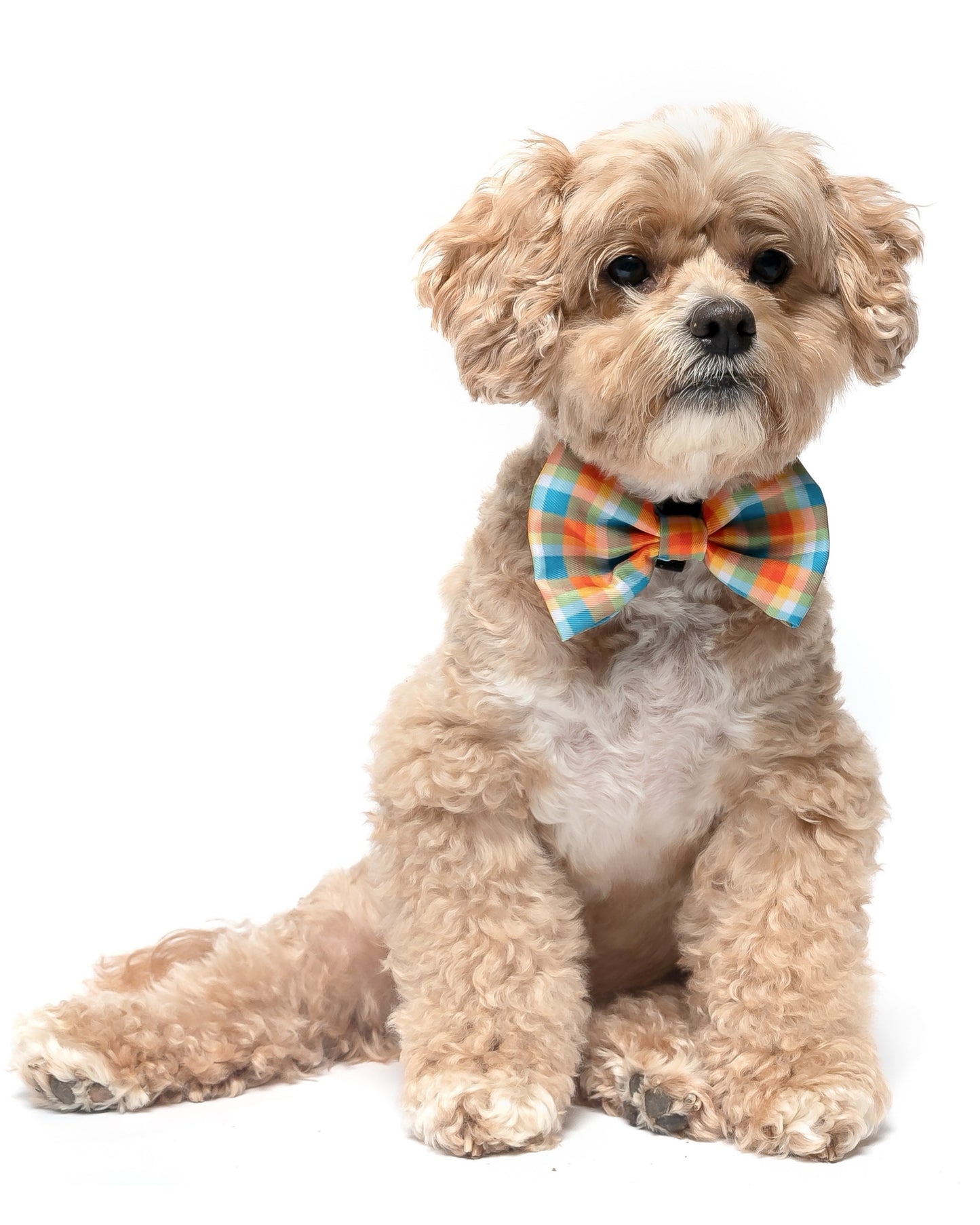 ORANGE AND TEAL PLAID - BOW TIE