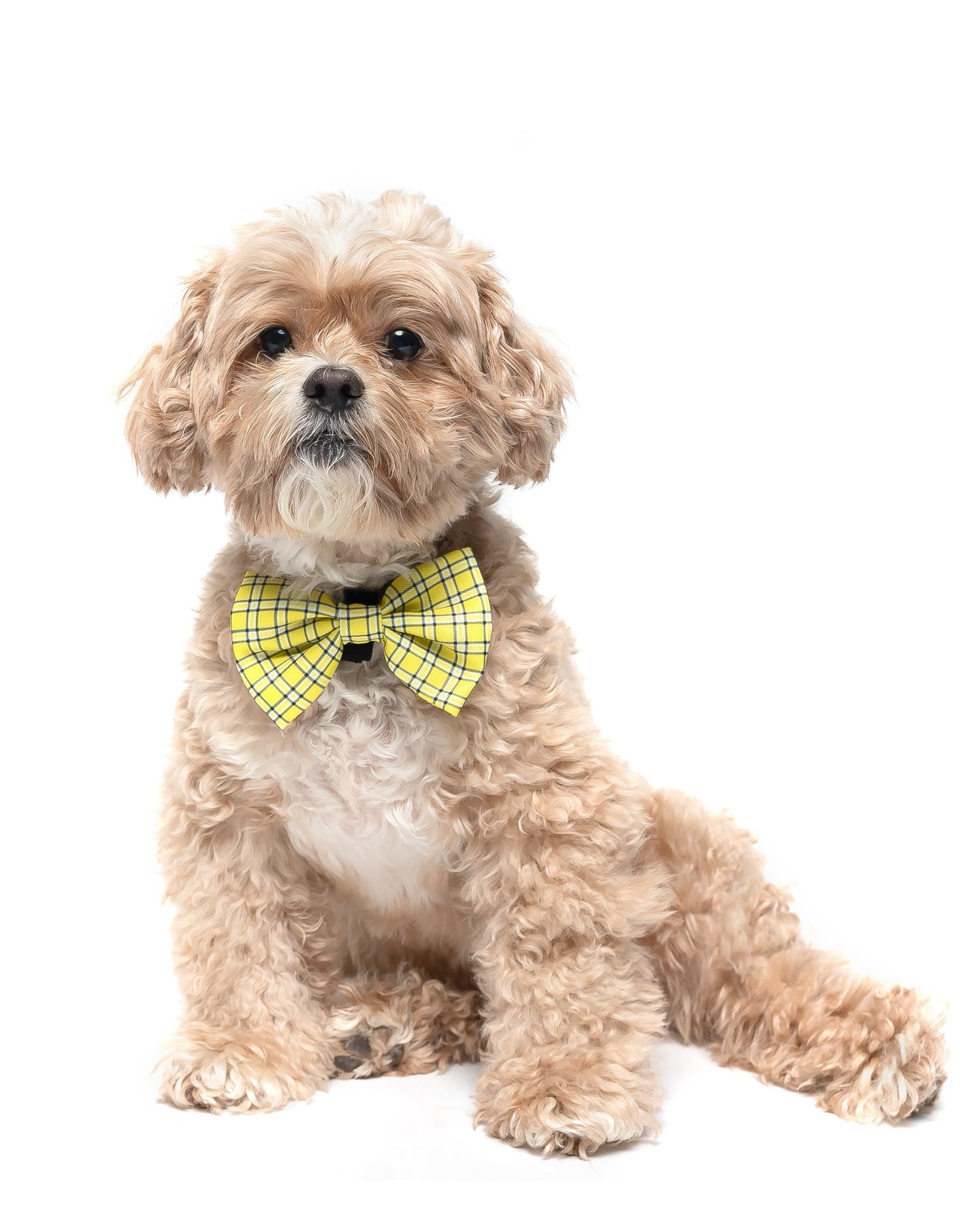 YELLOW PLAID - BOW TIE