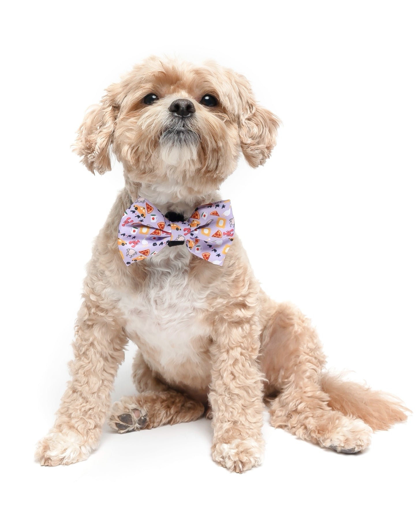 FURIENDS - BOW TIE