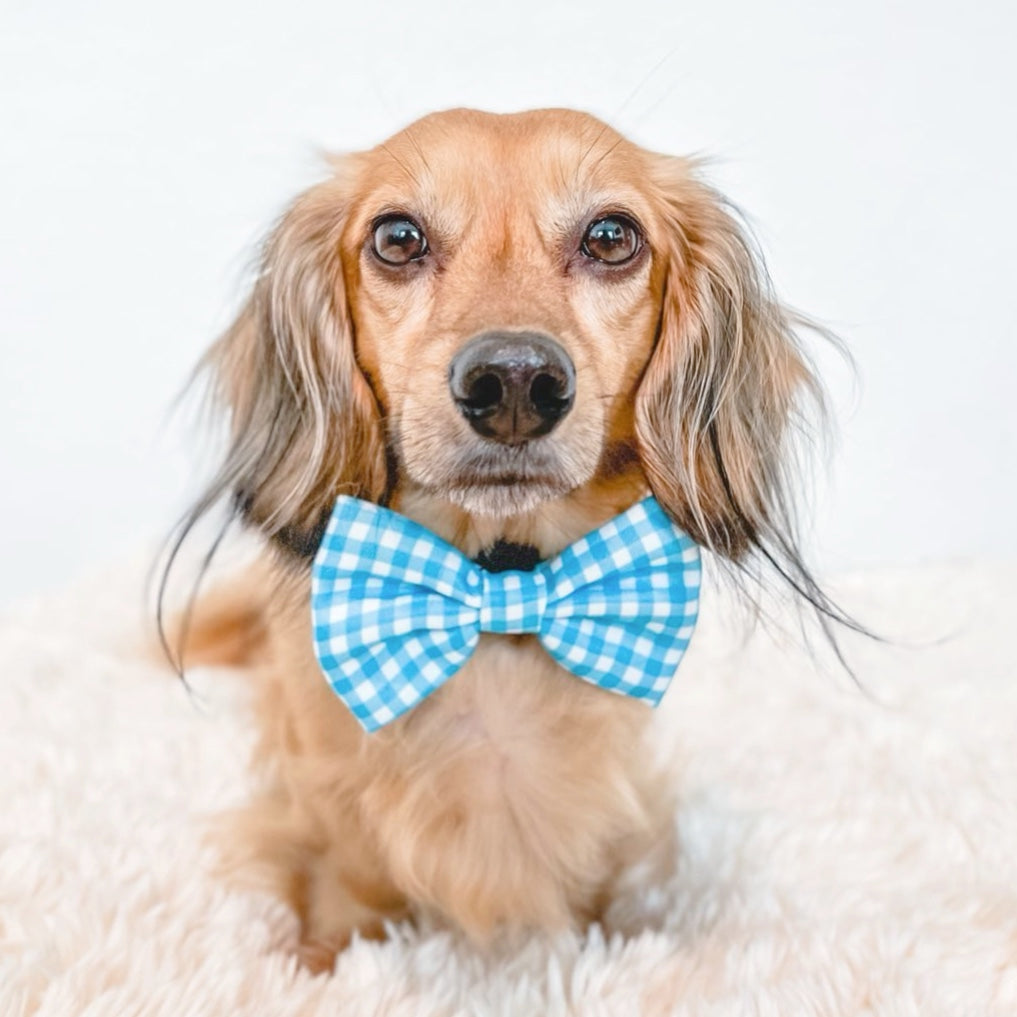 LIGHT BLUE GINGHAM - BOW TIE