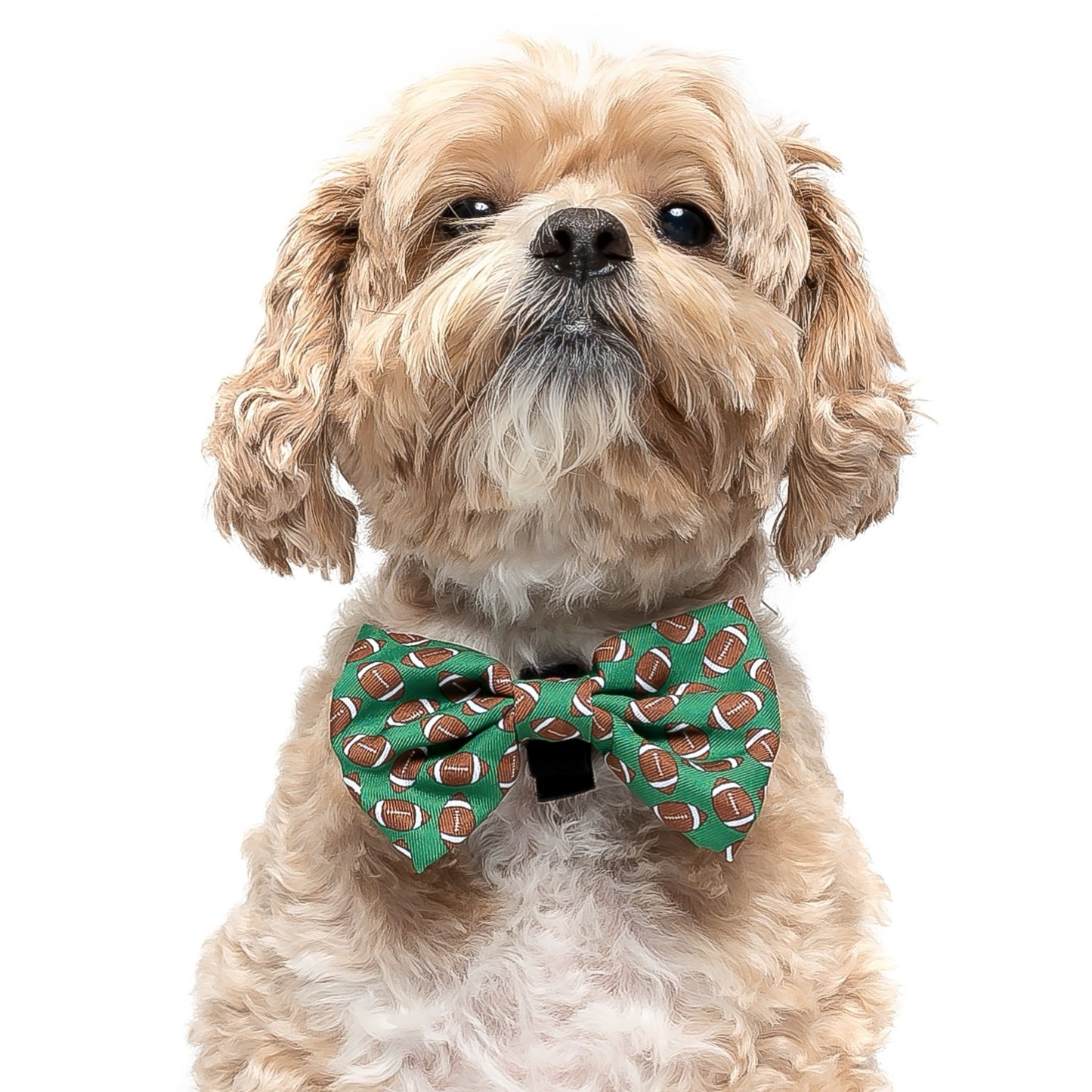 FOOTBALL - BOW TIE