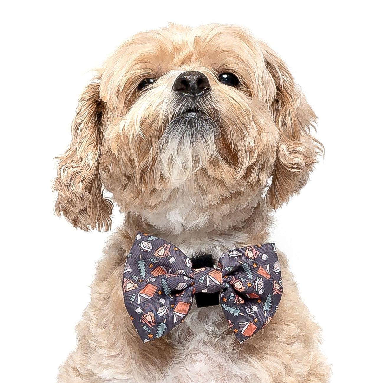 CAMPING - BOW TIE