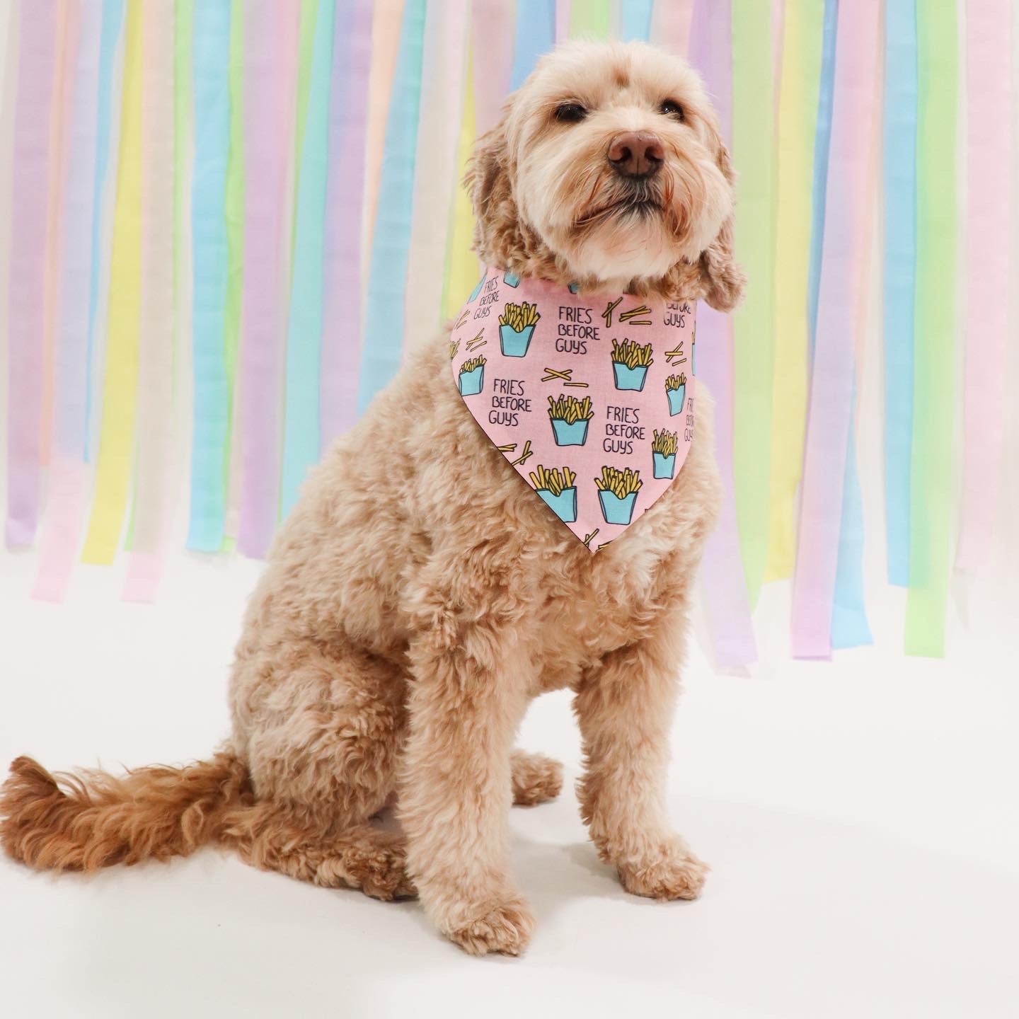 FRIES BEFORE GUYS - CLASSIC DOG BANDANA