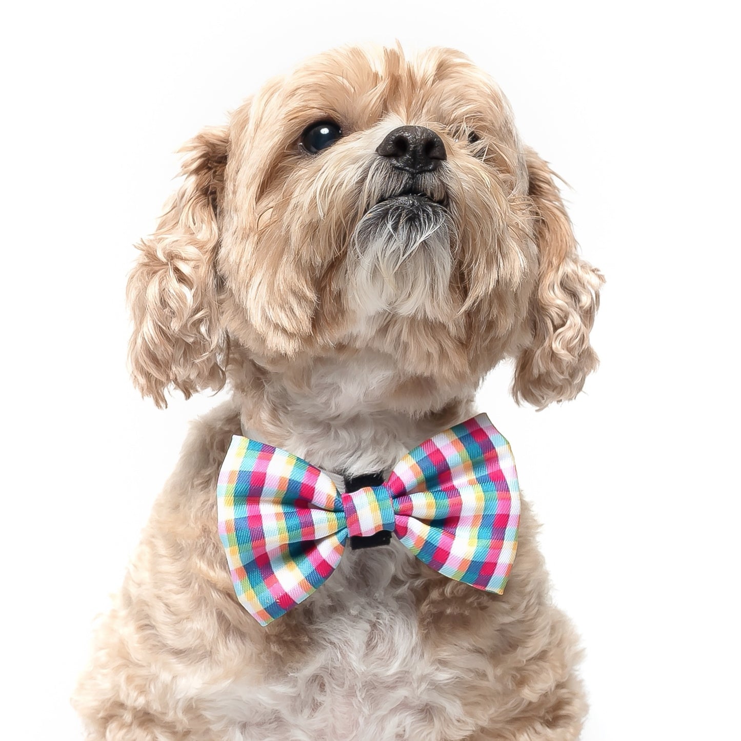 YELLOW, MAGENTA & TEAL PLAID - BOW TIE