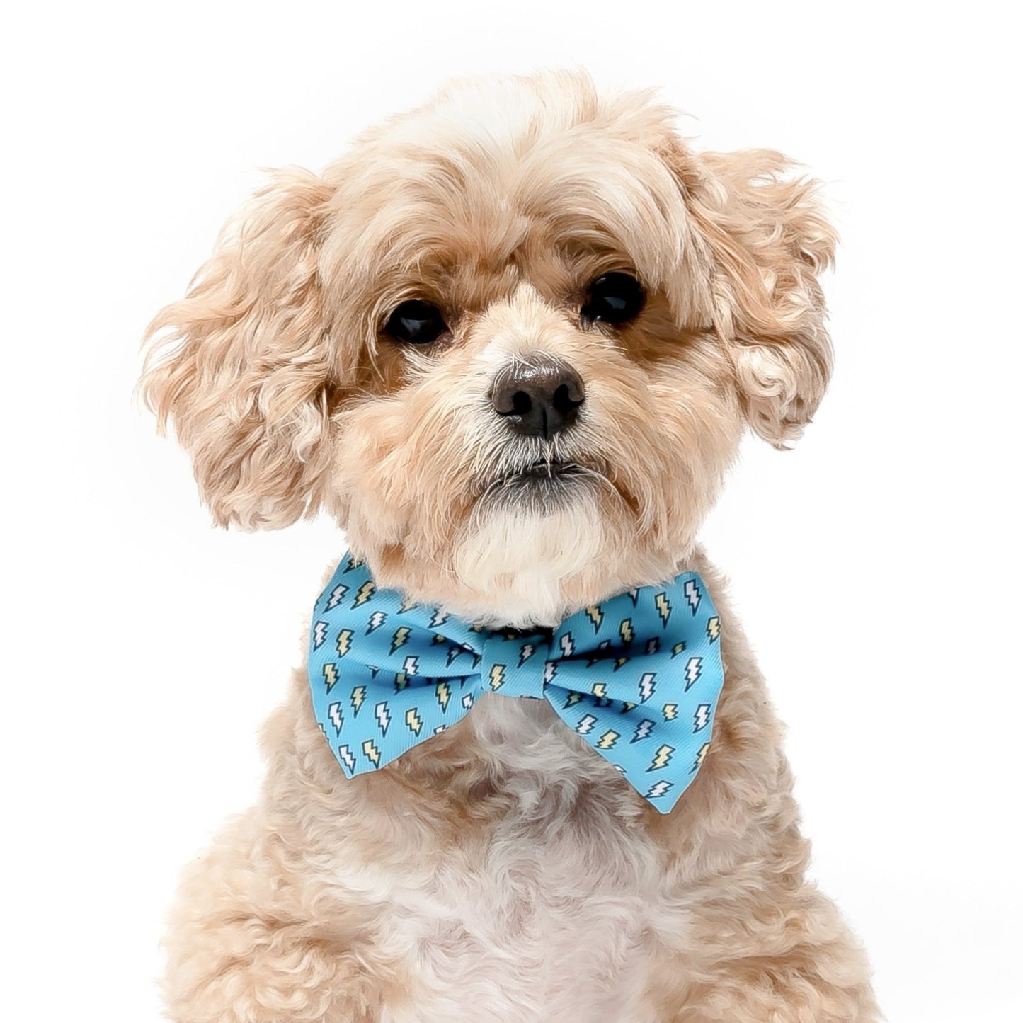 LIGHTENING BOLTS - BOW TIE