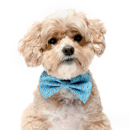 LIGHTENING BOLTS -  BOW TIE