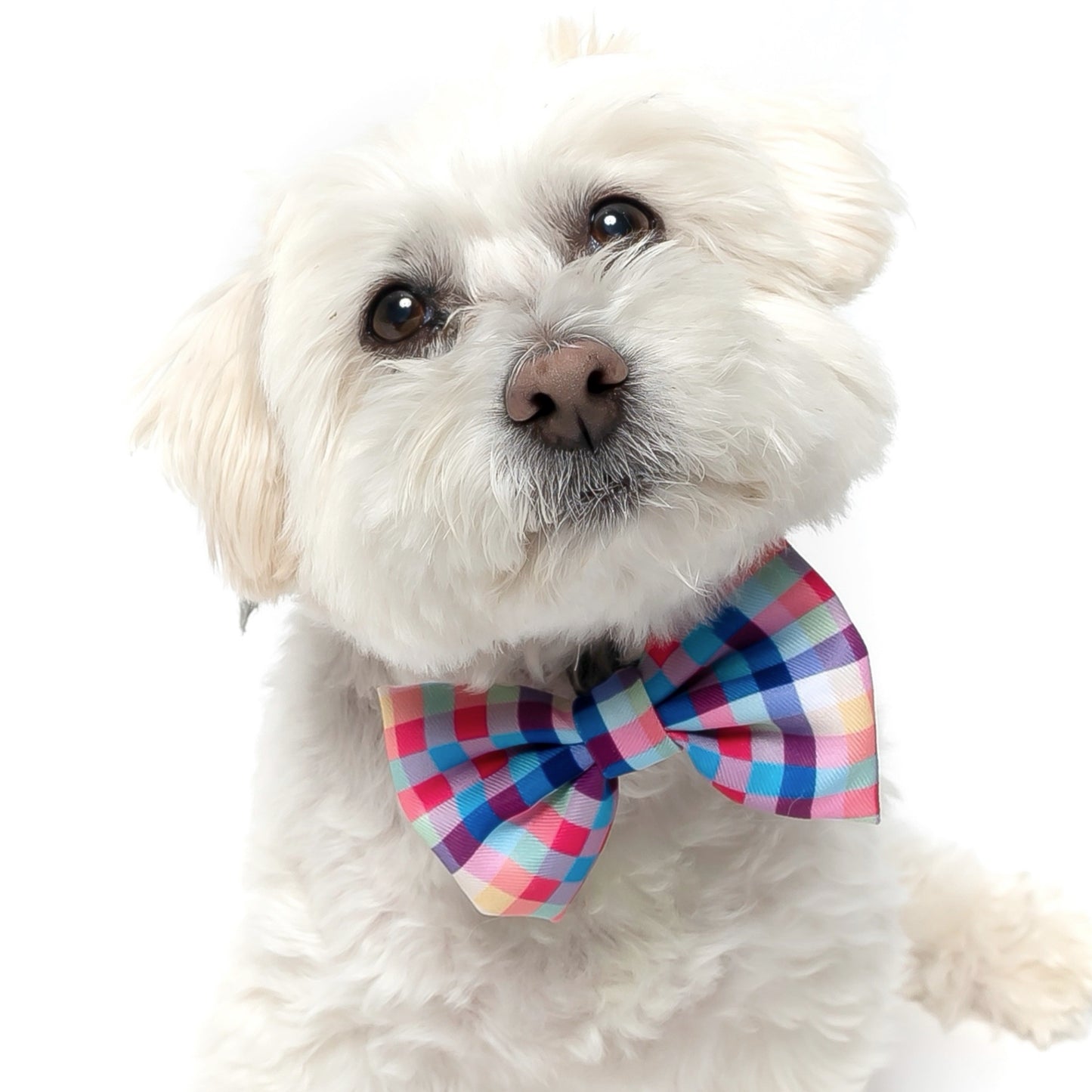 RAINBOW PLAID (RETIRED PRINT) - BOW TIE