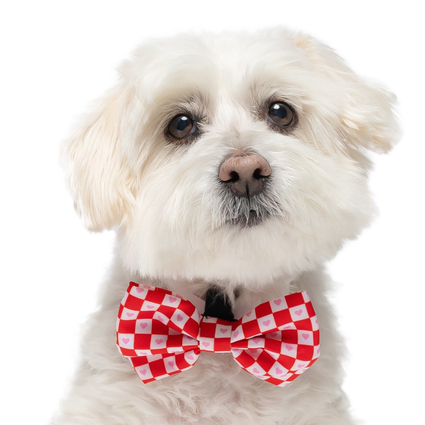 CHECKERED HEARTS - BOW TIE