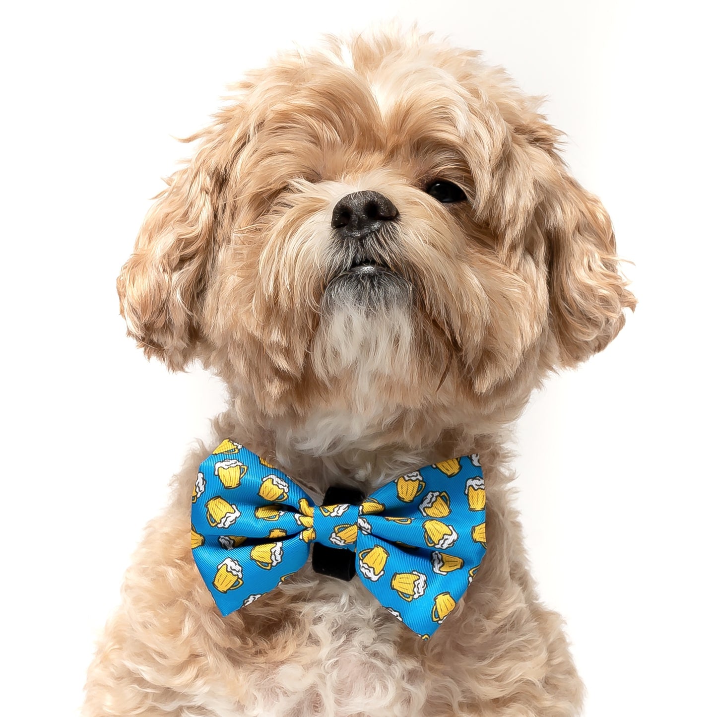 ROYAL BLUE BEER - BOW TIE