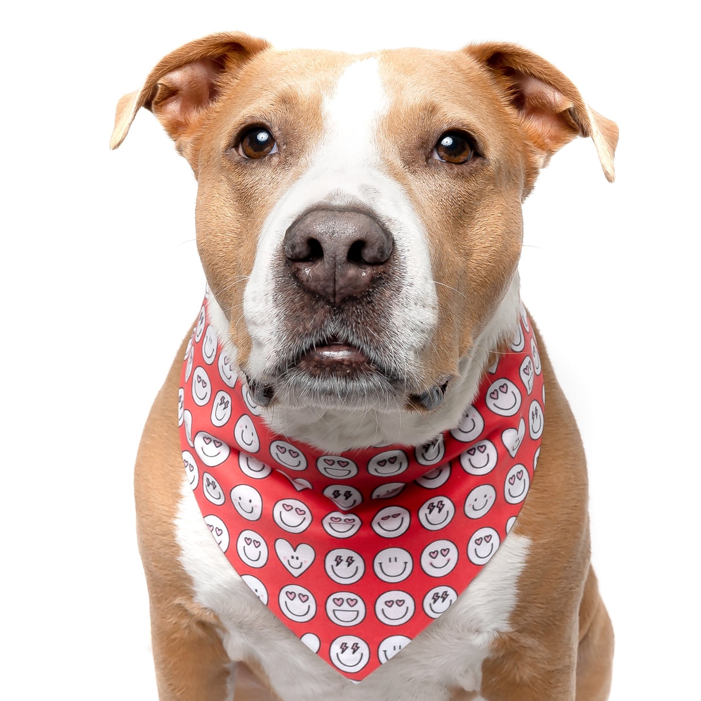 RED SMILE EMOJIS - CLASSIC DOG BANDANA
