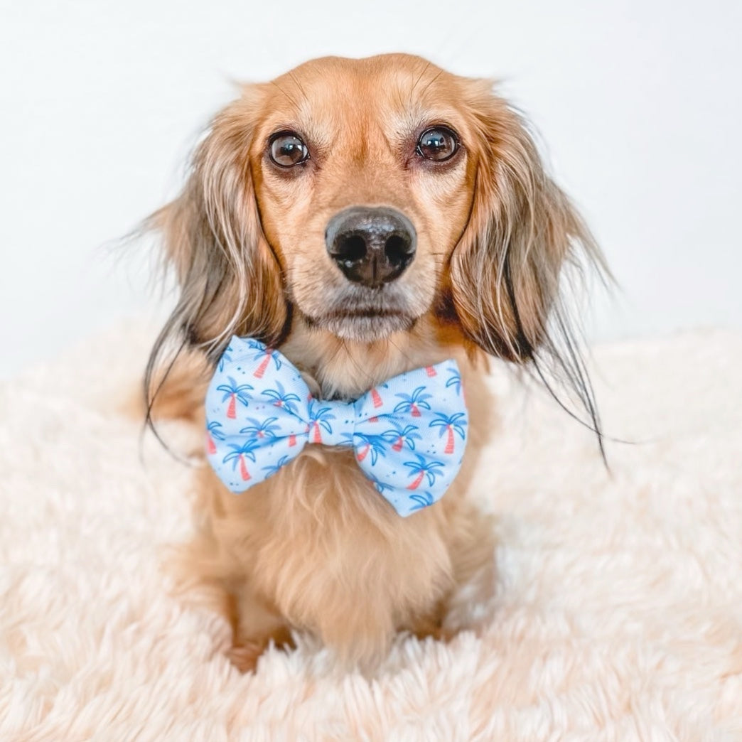 PALM TREES - BOW TIE