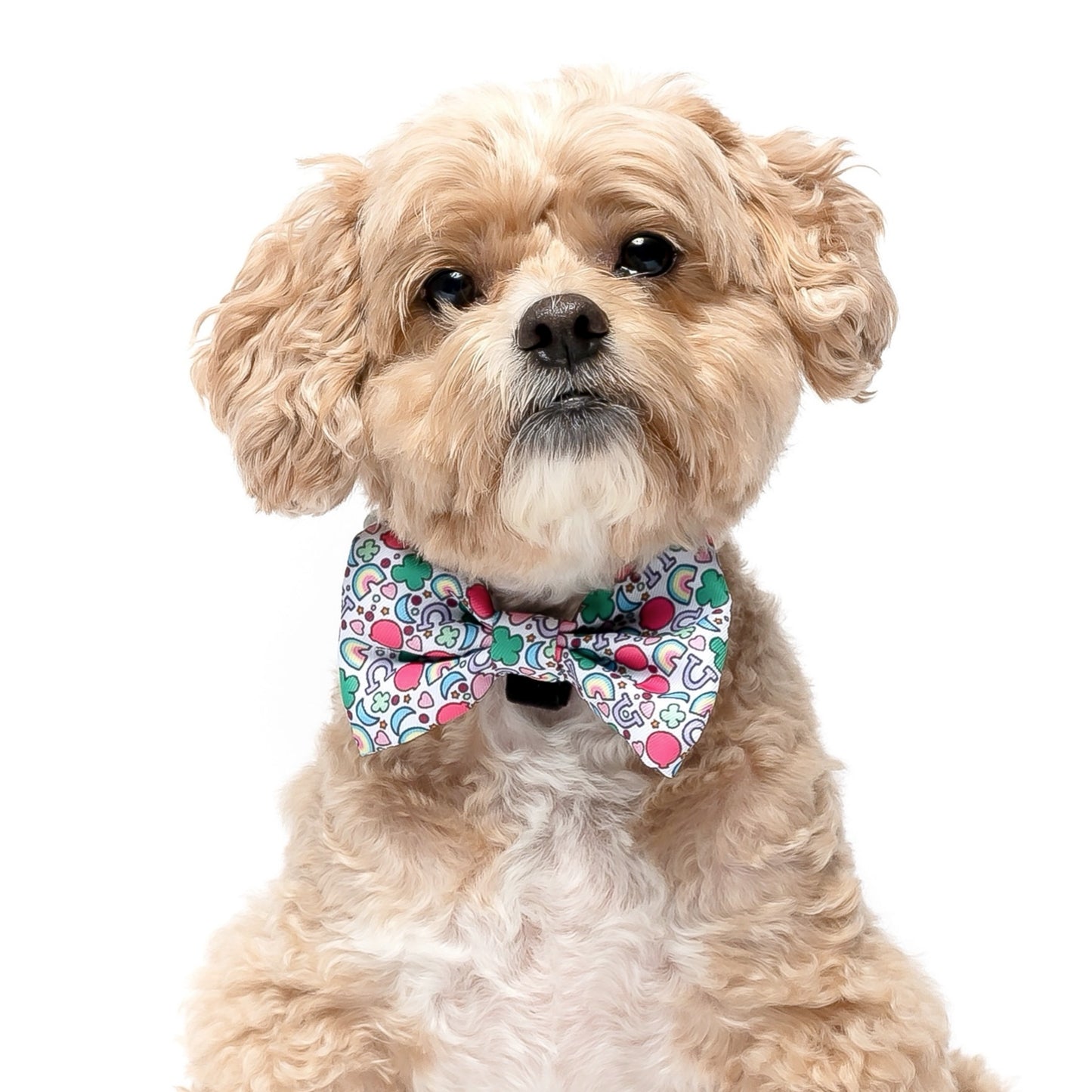LUCKY MELLOWS - BOW TIE