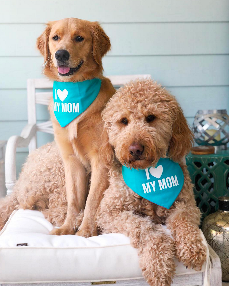 Mother's Day - Dapper Dog Box Partnership