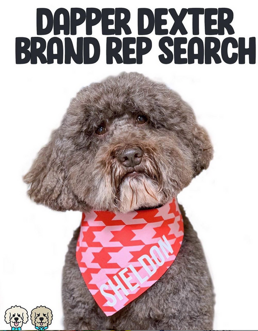 BRAND REP SEARCH