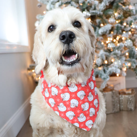 RED SANTA -  CLASSIC DOG BANDANA