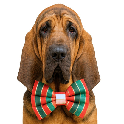 JOLLY STRIPES - DAPPER DEXTER DOG BOW TIE