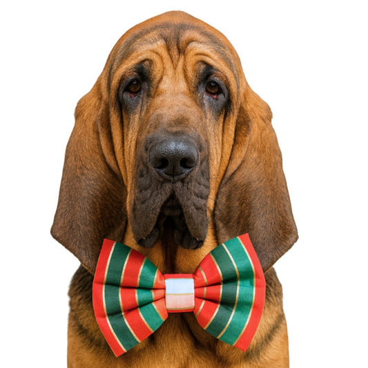 JOLLY STRIPES - DAPPER DEXTER DOG BOW TIE