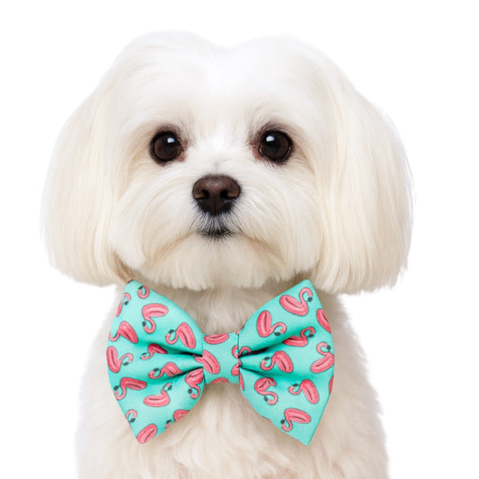 FLAMINGO POOL FLOATS - DAPPER DEXTER DOG BOW TIE