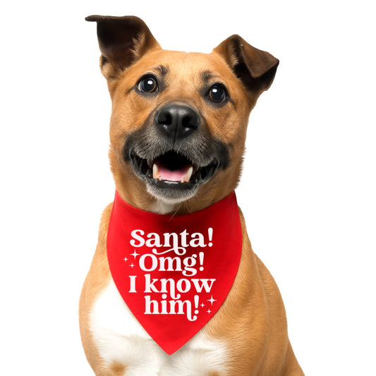 SANTA, I KNOW HIM!  -  CLASSIC DOG BANDANA