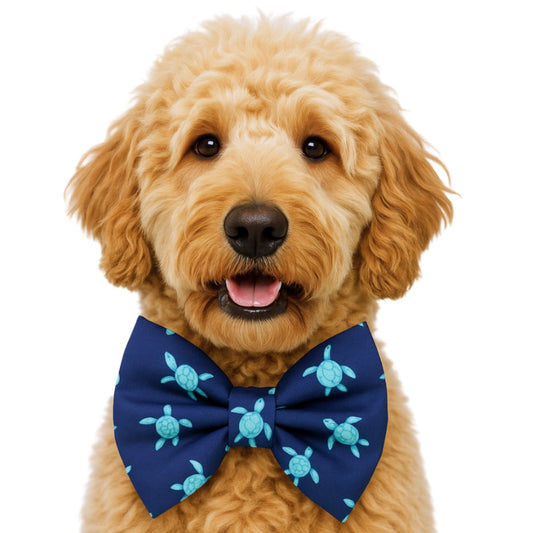 TURTLES - DAPPER DEXTER DOG BOW TIE
