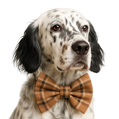 BROWN PLAID - DAPPER DEXTER DOG BOW TIE