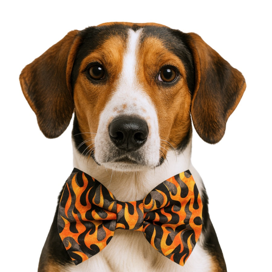 FLAMING HOT - DAPPER DEXTER DOG BOW TIE