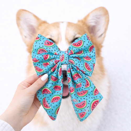 WATERMELON - SAILOR BOW