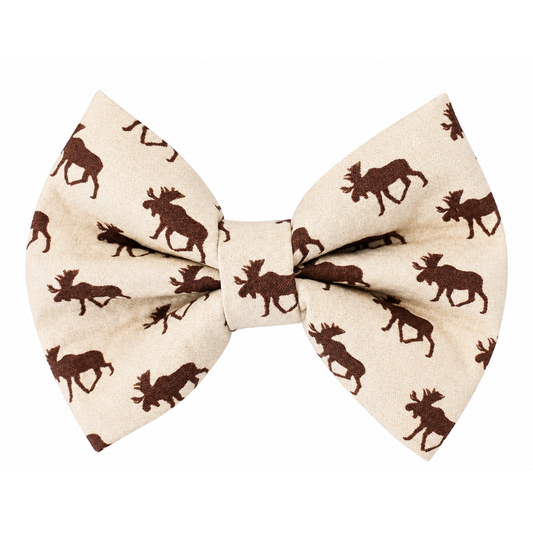 MOOSE - DAPPER DEXTER DOG BOW TIE