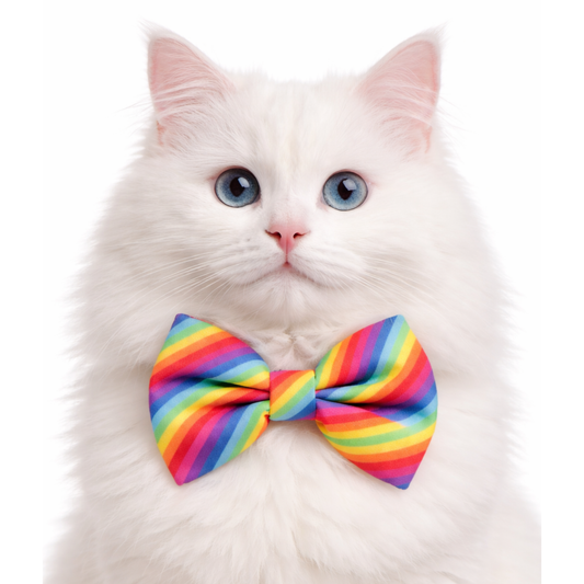 RAINBOW STRIPES- CAT BOW TIE