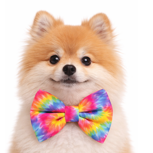NEW TIE DYE - DAPPER DEXTER DOG BOW TIE