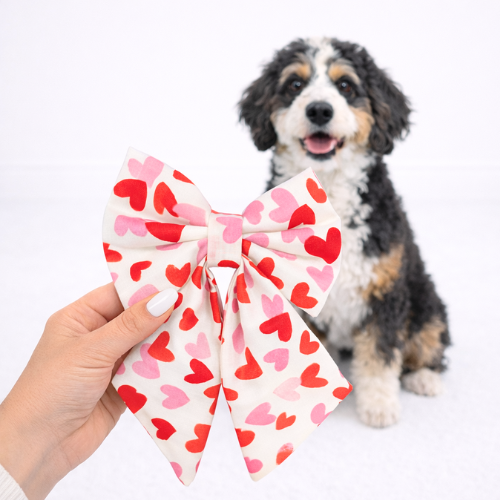 VALENTINES HEARTS - SAILOR BOW