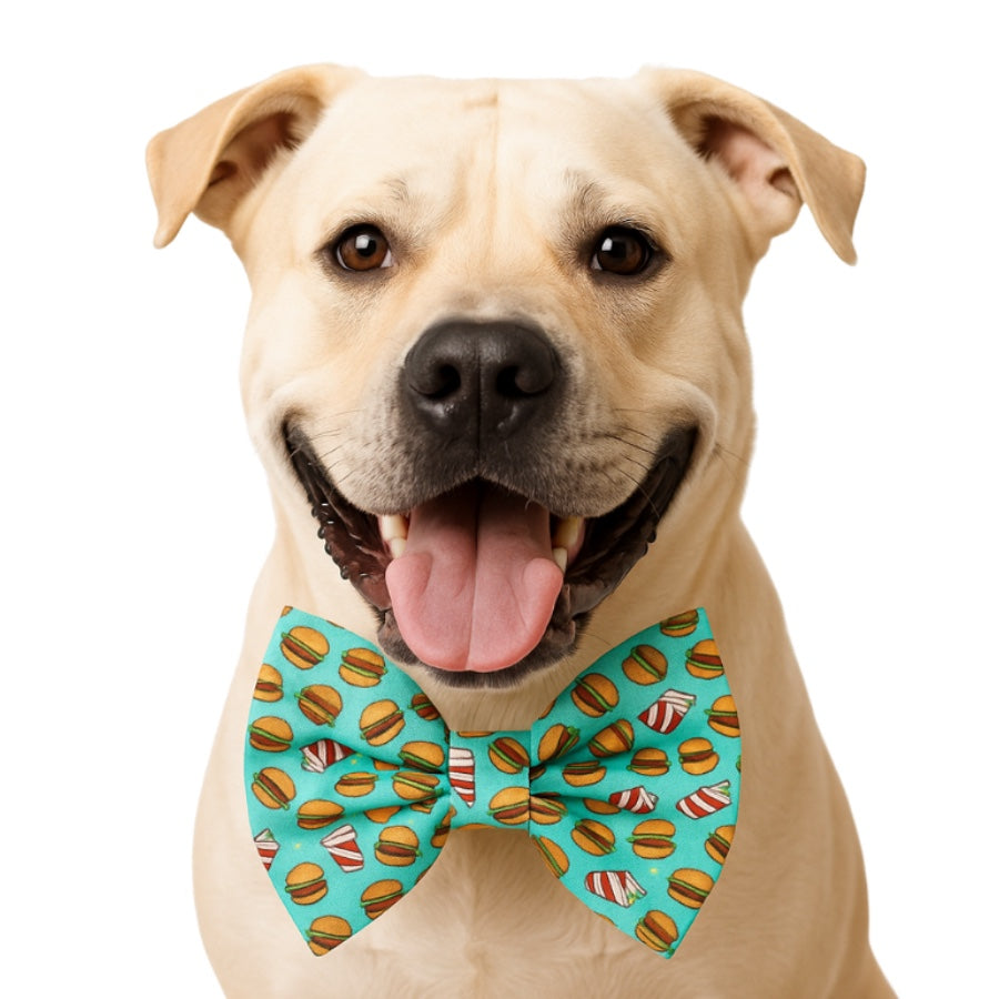 BURGERS - DAPPER DEXTER DOG BOW TIE